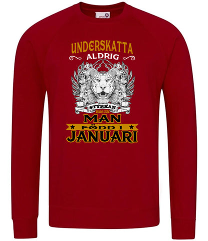 Födelsemånad T-shirt Underskatta aldrig Födelsepresent tröja sweatshirt